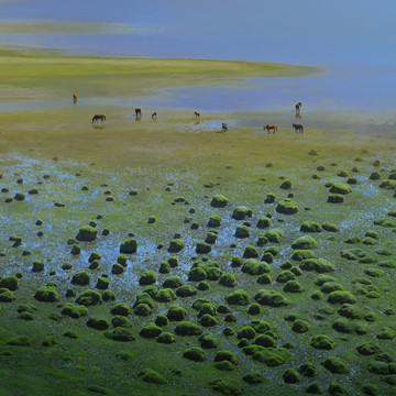 帕米尔高原湿地