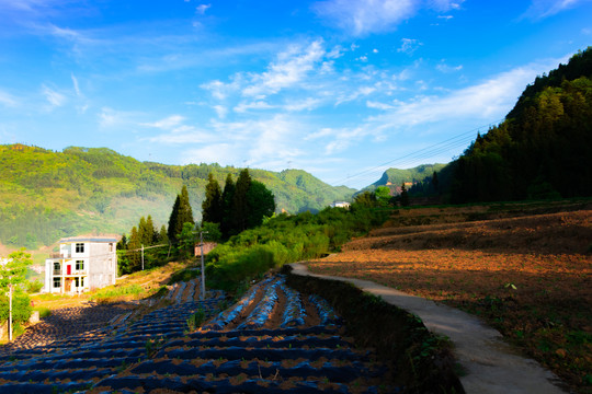 兴隆村风光