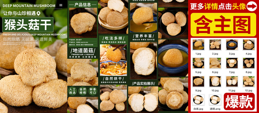 猴頭菇詳情