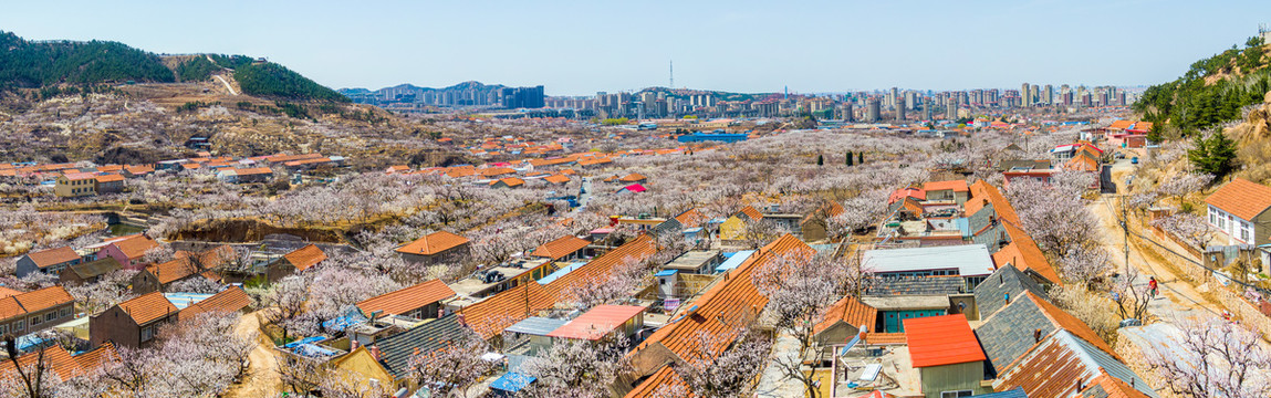 城市近郊