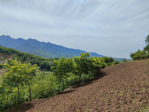 白鹿塬