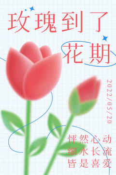 玫瑰到了花期