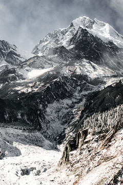 雾里雪景