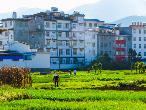 大理鹤庆乡村