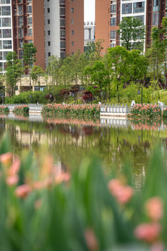 植物公园