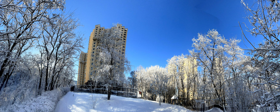 冬天的雪