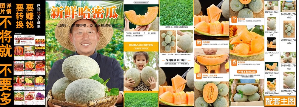 新鮮哈密瓜詳情