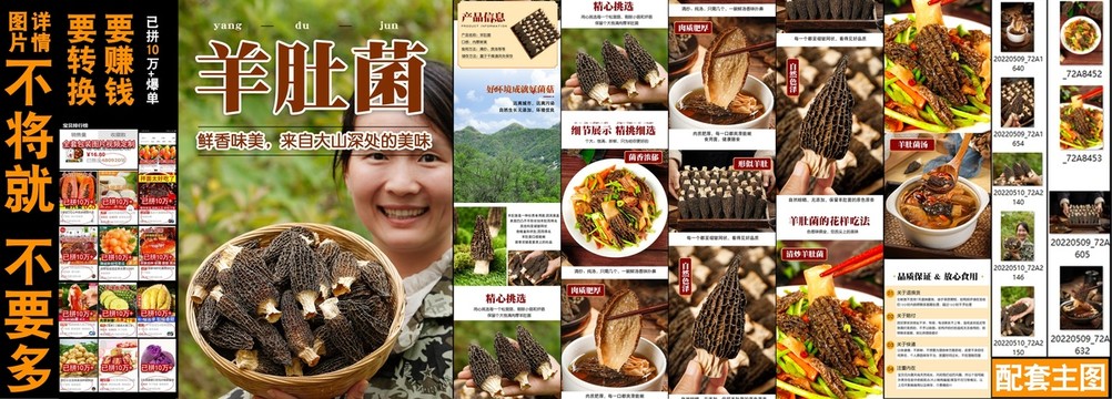 羊肚菌詳情