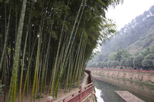 东方佛都景区参考