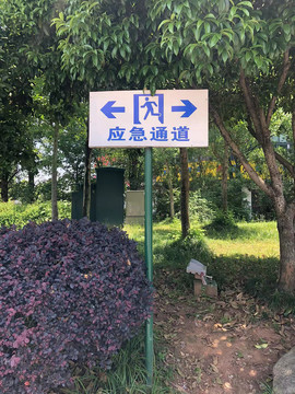 应急通道