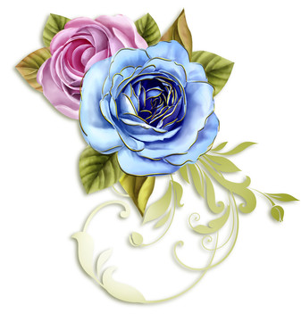 藍(lán)花