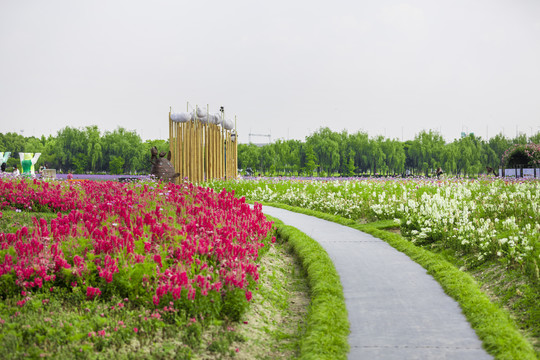 花圃小路