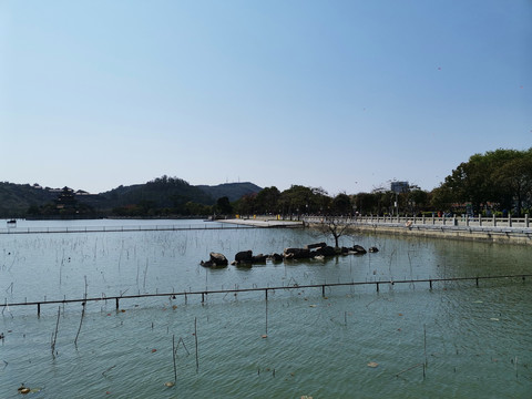 顺峰山公园湖景