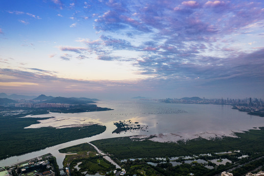 粤港澳大湾区广东省深圳湾风光