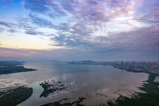 粤港澳大湾区广东省深圳湾风光