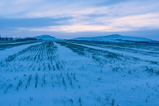 冬季积雪农田