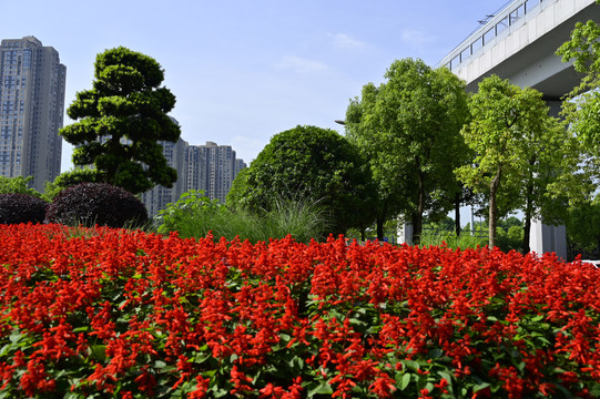 九曲河湿地公园