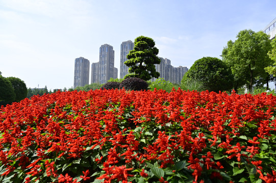 九曲河湿地公园