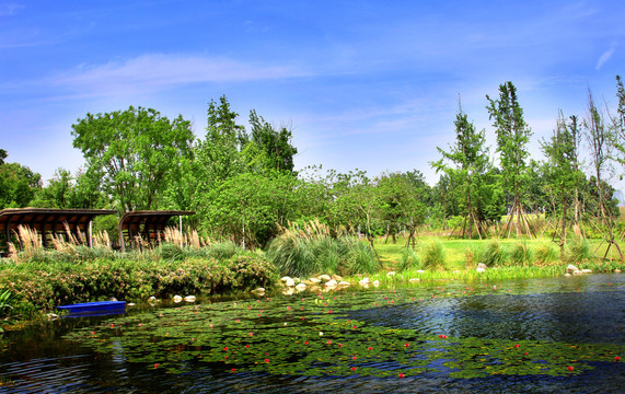 成都白鹭湾生态湿地公园