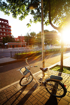 清晨阳光照在路边的自行车上