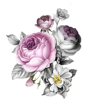 黑粉花