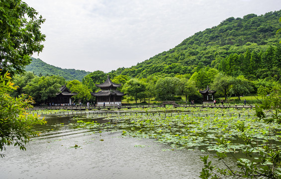 园林风景