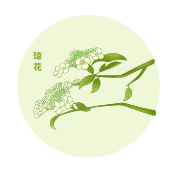 卡通瓊花