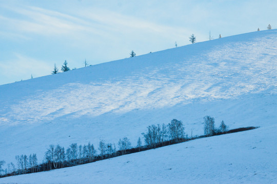 山坡雪原光影森林