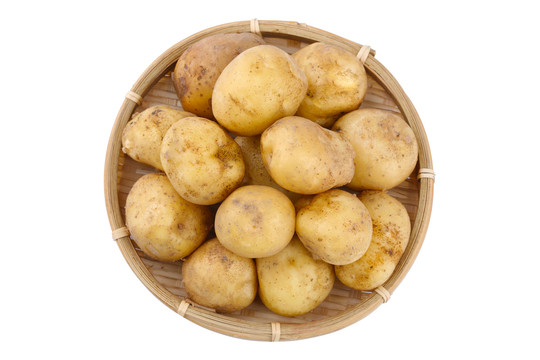 土豆白底图