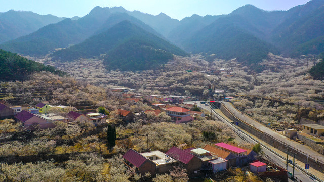 崂山樱桃山村