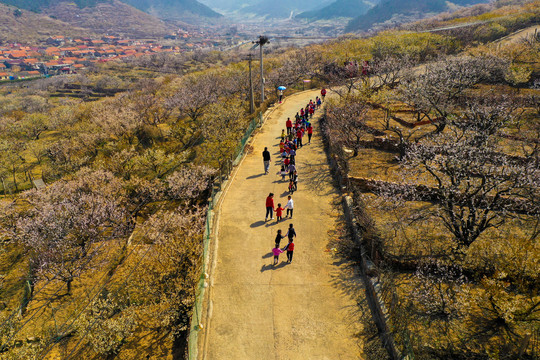 春天山村