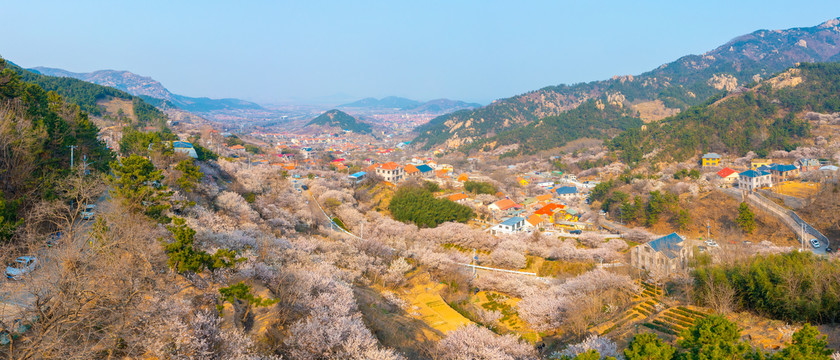 崂山区王哥庄街道解家河社区