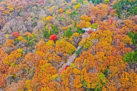 崂山太清宫