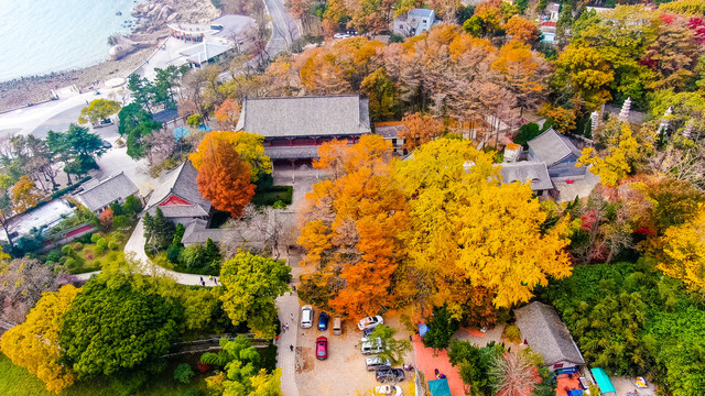 崂山太清宫