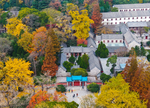 崂山太清宫