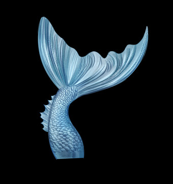 人魚(yú)尾巴海洋風(fēng)高清手繪素材