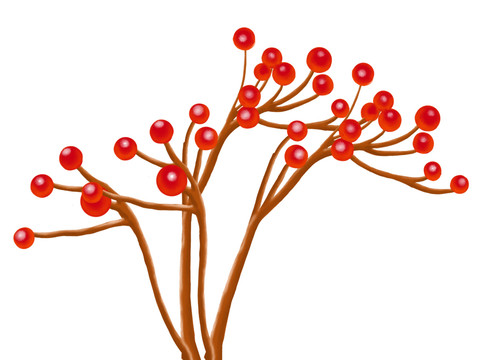 紅豆枝
