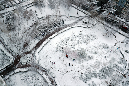 春雪