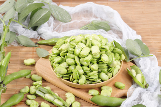 新鮮蠶豆米