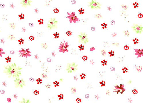 白底紅花