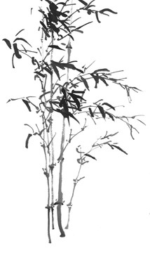 墨竹竹韻