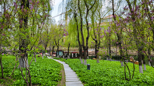 春天的中国长春裕华园风景
