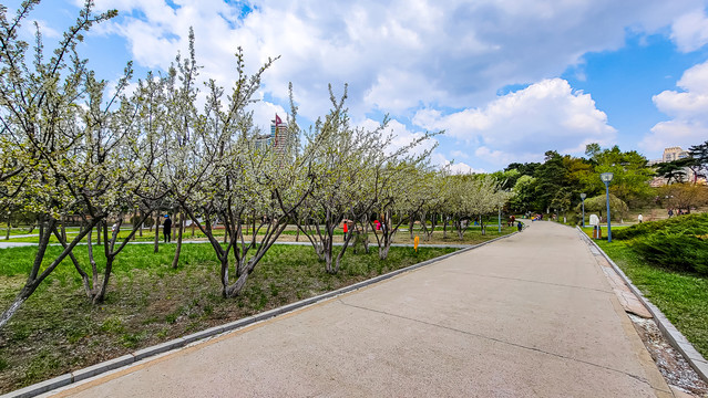 春天的中国长春裕华园风景