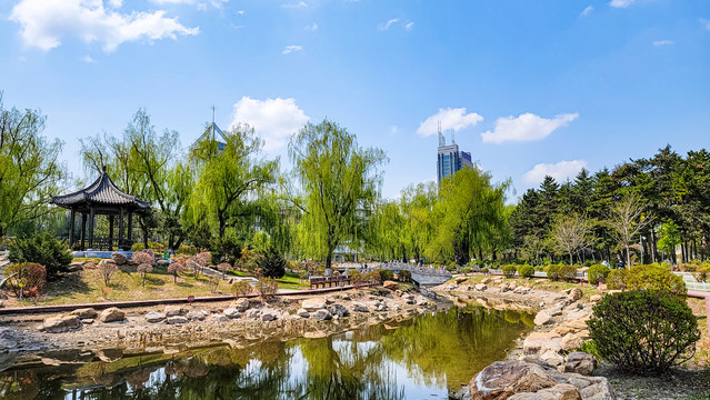 中国长春牡丹园春季风景