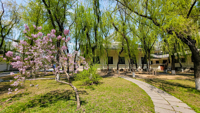 中国长春牡丹园春季风景