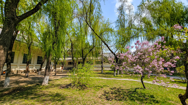 中国长春牡丹园春季风景