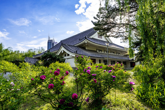 中国长春牡丹园春季风景