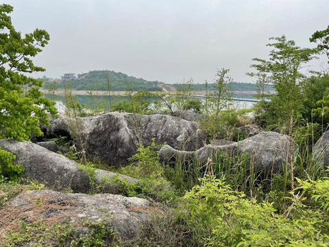 高关水库