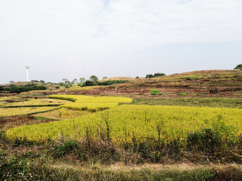 田园风光