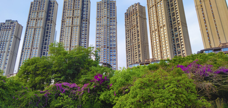 洋房住宅高层住宅小区绿化